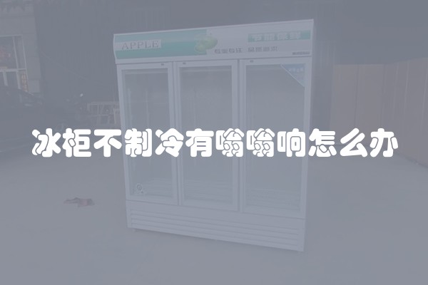 冰柜不制冷有嗡嗡响怎么办