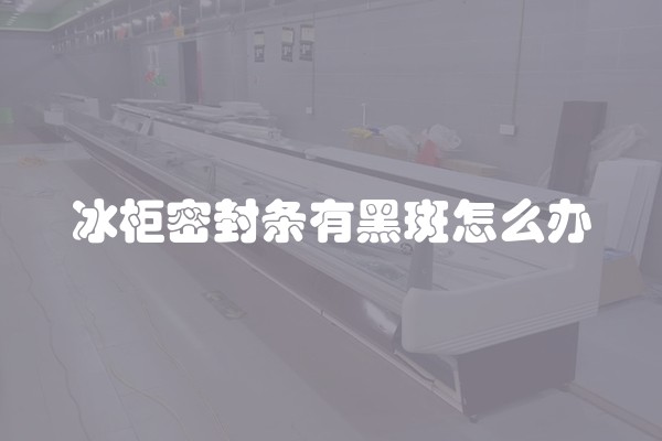 冰柜密封条有黑斑怎么办