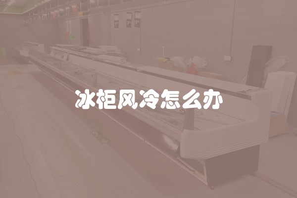冰柜风冷怎么办