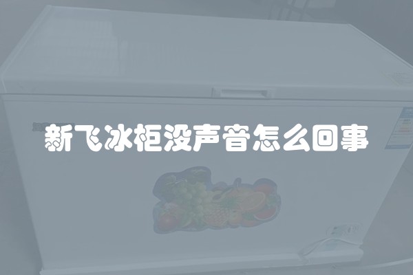 新飞冰柜没声音怎么回事