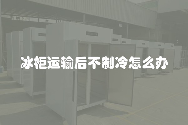 冰柜运输后不制冷怎么办