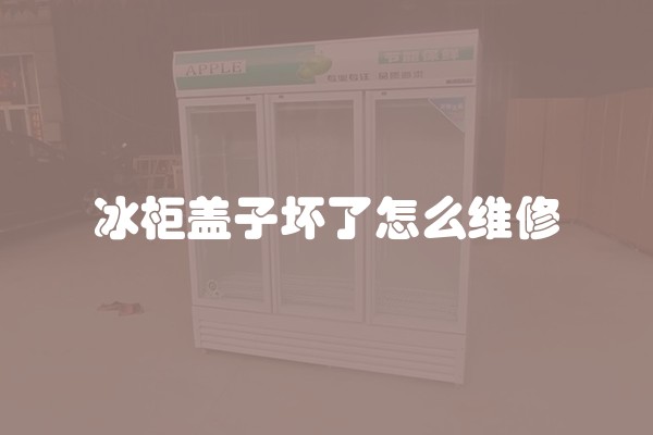 冰柜盖子坏了怎么维修