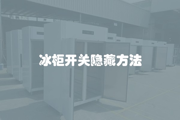 冰柜开关隐藏方法