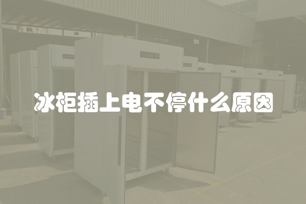 冰柜插上电不停什么原因