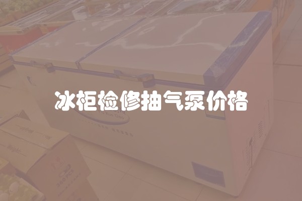 冰柜检修抽气泵价格