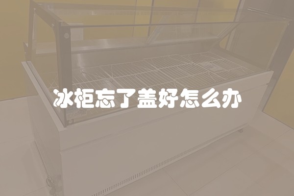 冰柜忘了盖好怎么办