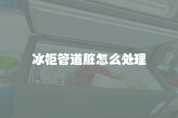 冰柜管道脏怎么处理