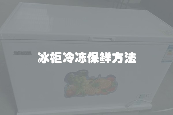 冰柜冷冻保鲜方法