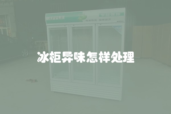 冰柜异味怎样处理