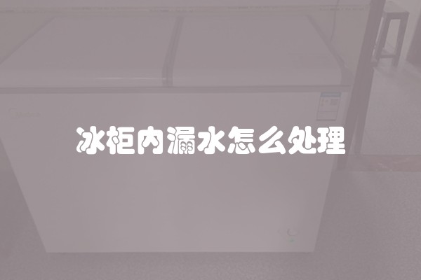 冰柜内漏水怎么处理