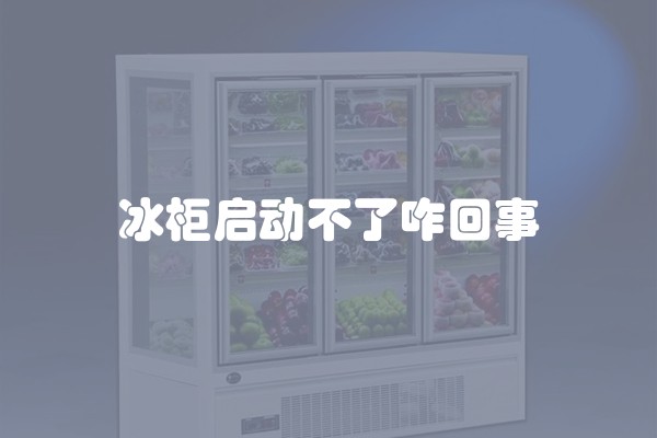 冰柜启动不了咋回事