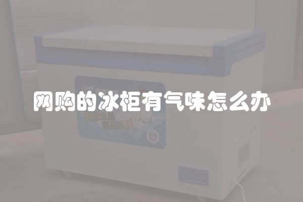 网购的冰柜有气味怎么办