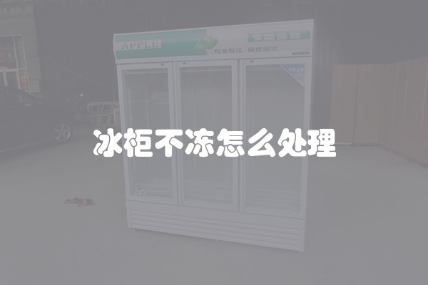 冰柜不冻怎么处理