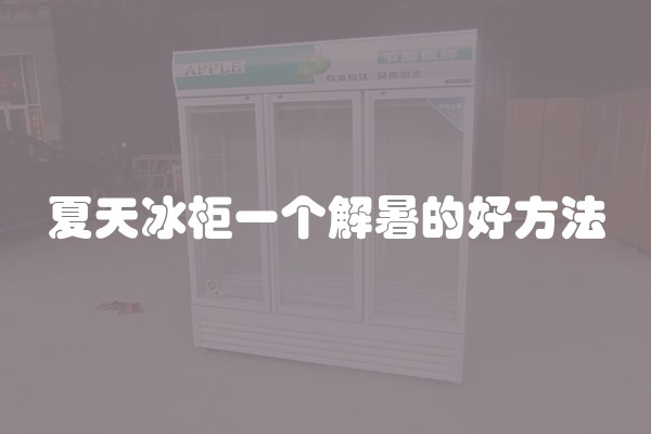 夏天冰柜一个解暑的好方法
