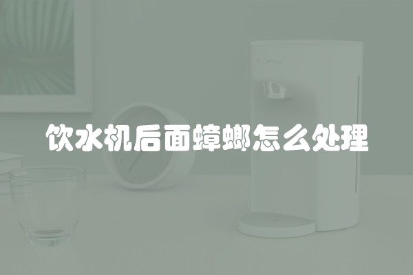 饮水机后面蟑螂怎么处理