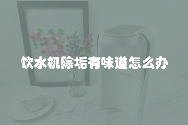 饮水机除垢有味道怎么办