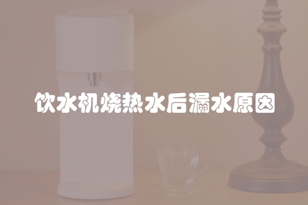 饮水机烧热水后漏水原因