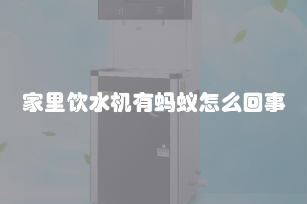 家里饮水机有蚂蚁怎么回事