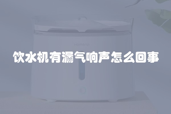 饮水机有漏气响声怎么回事