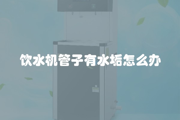 饮水机管子有水垢怎么办