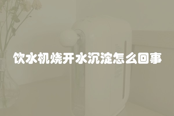 饮水机烧开水沉淀怎么回事