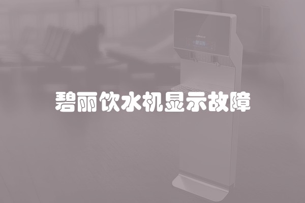 碧丽饮水机显示故障