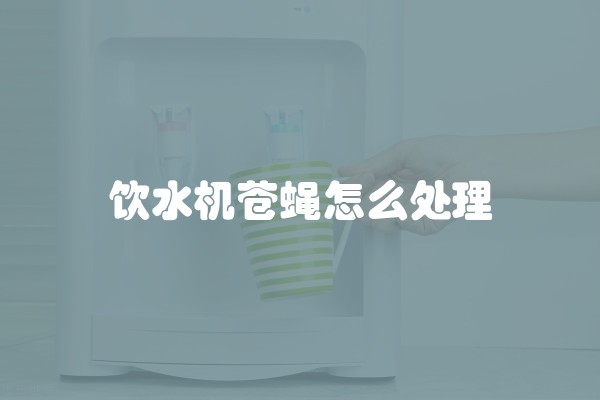 饮水机苍蝇怎么处理