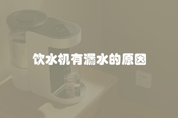 饮水机有漏水的原因