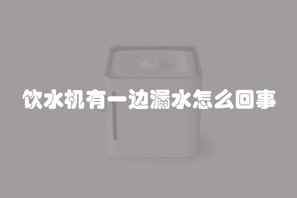 饮水机有一边漏水怎么回事