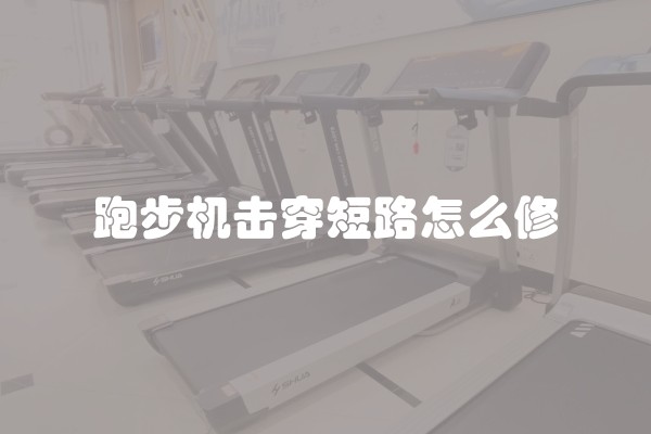 跑步机击穿短路怎么修