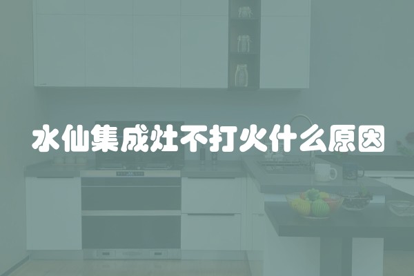 水仙集成灶不打火什么原因