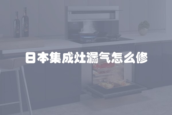 日本集成灶漏气怎么修