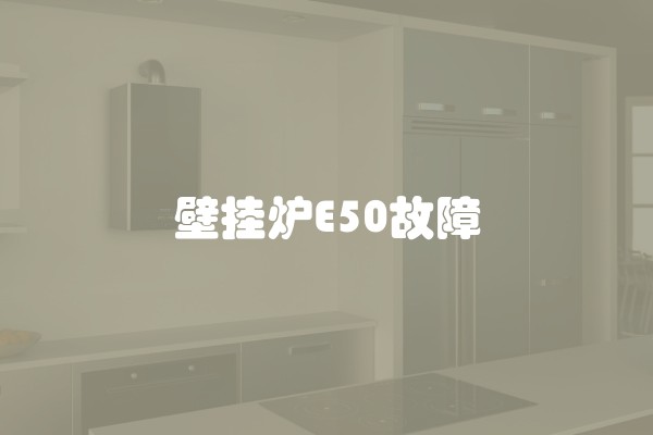 壁挂炉E50故障