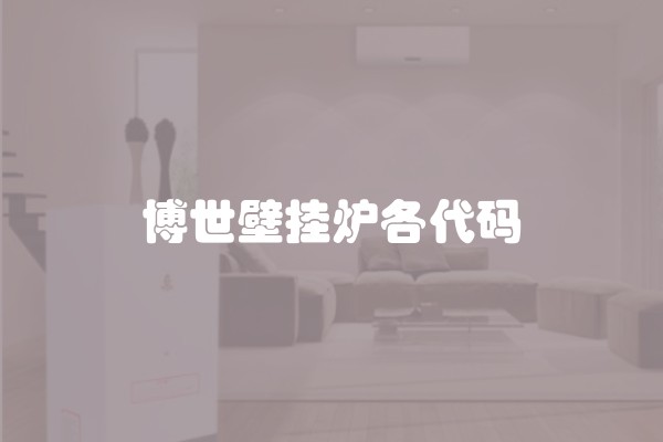 博世壁挂炉各代码