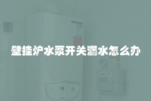 壁挂炉水泵开关漏水怎么办