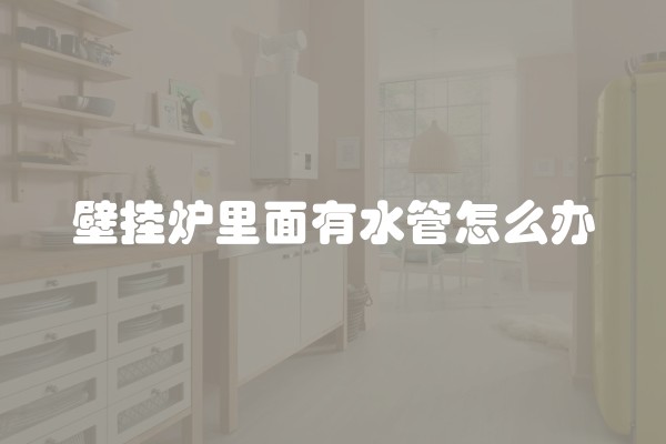 壁挂炉里面有水管怎么办