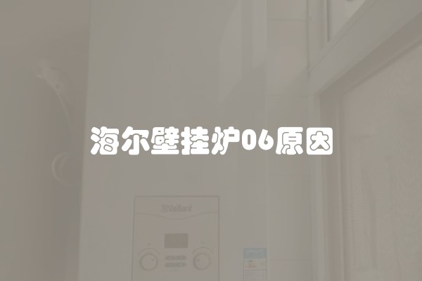 海尔壁挂炉06原因