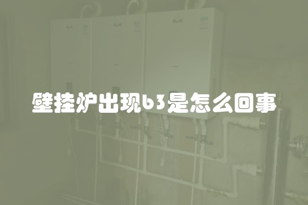 壁挂炉出现b3是怎么回事