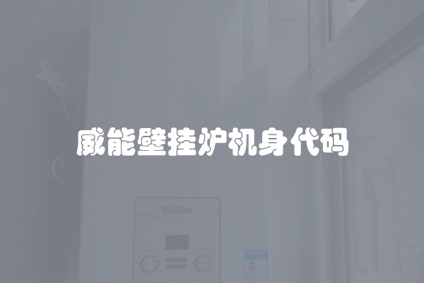 威能壁挂炉机身代码