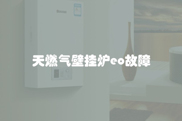 天燃气壁挂炉eo故障