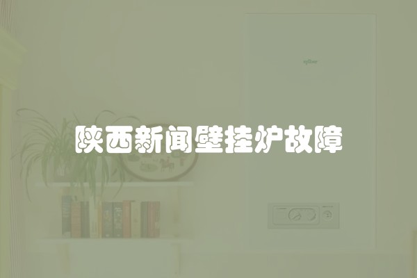 陕西新闻壁挂炉故障