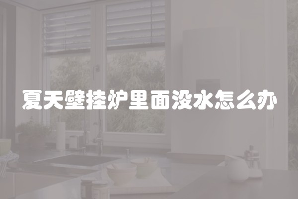 夏天壁挂炉里面没水怎么办