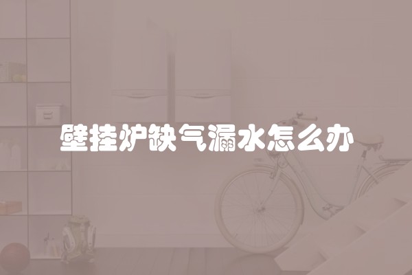 壁挂炉缺气漏水怎么办