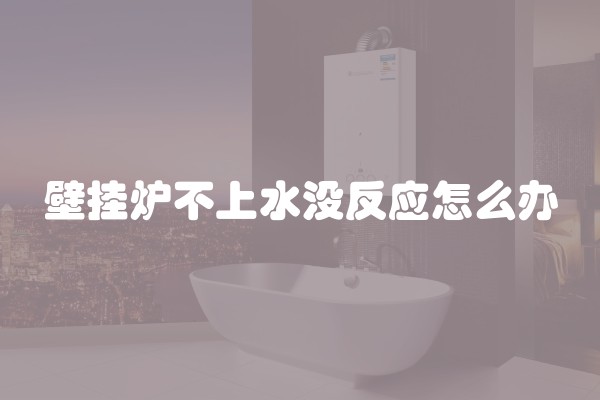 壁挂炉不上水没反应怎么办