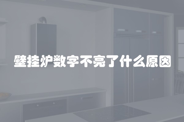 壁挂炉数字不亮了什么原因