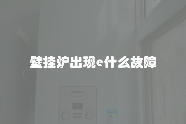 壁挂炉出现e什么故障