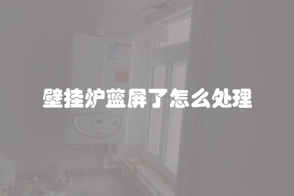 壁挂炉蓝屏了怎么处理