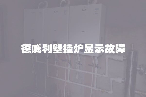 德威利壁挂炉显示故障
