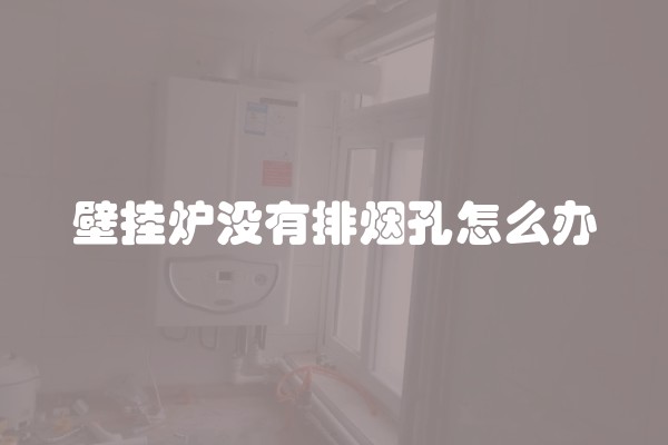 壁挂炉没有排烟孔怎么办