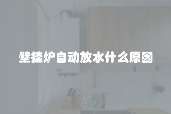 壁挂炉自动放水什么原因